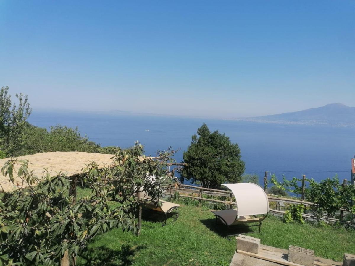 La Badia Montechiaro - Breathtaking View Of Sorrento Coast Villa Vico Equense Exteriör bild
