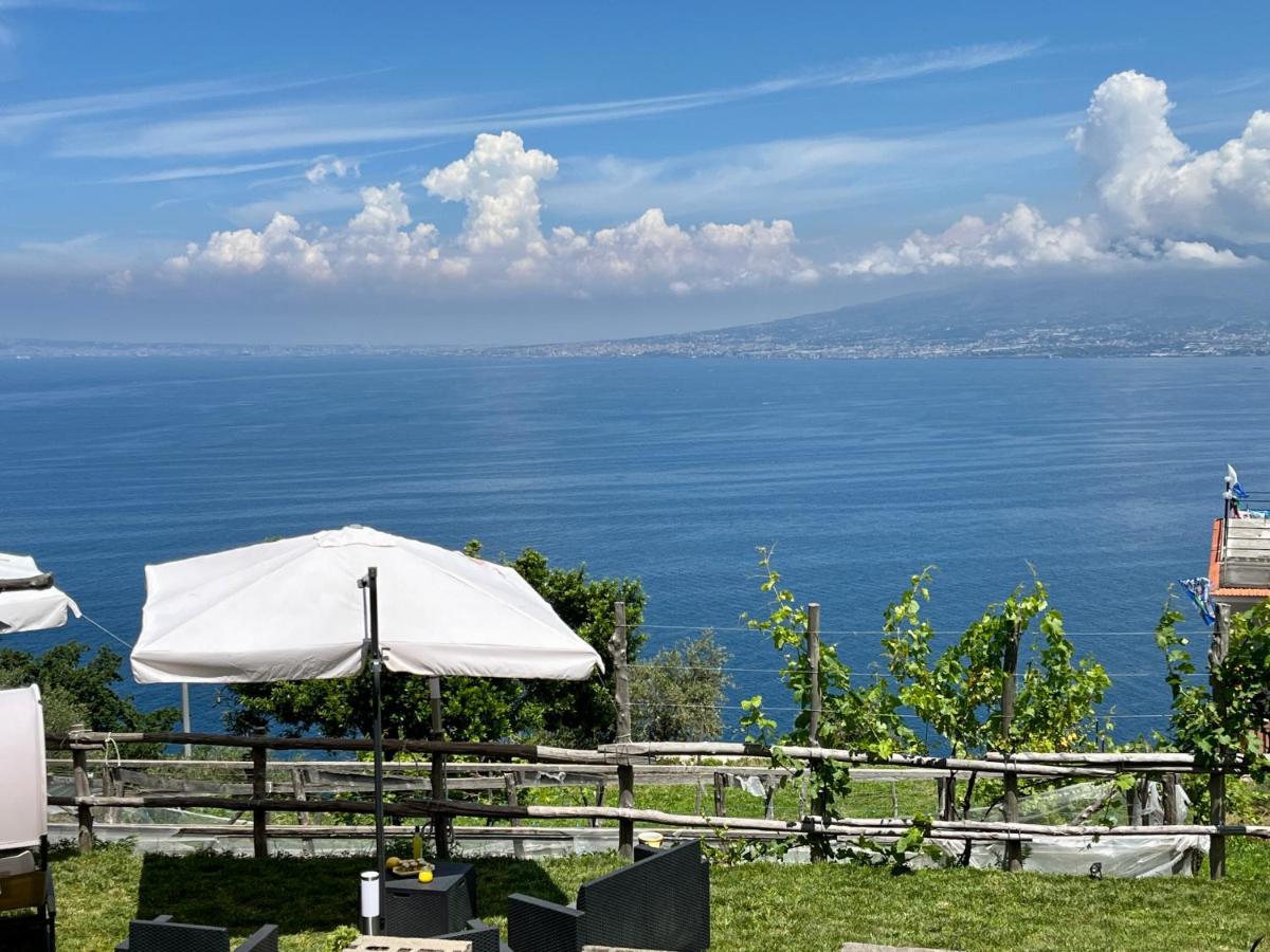 La Badia Montechiaro - Breathtaking View Of Sorrento Coast Villa Vico Equense Exteriör bild