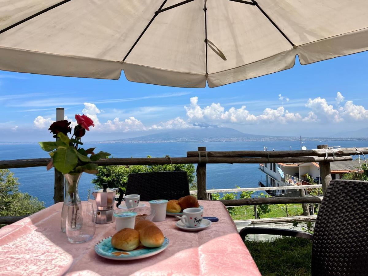La Badia Montechiaro - Breathtaking View Of Sorrento Coast Villa Vico Equense Exteriör bild
