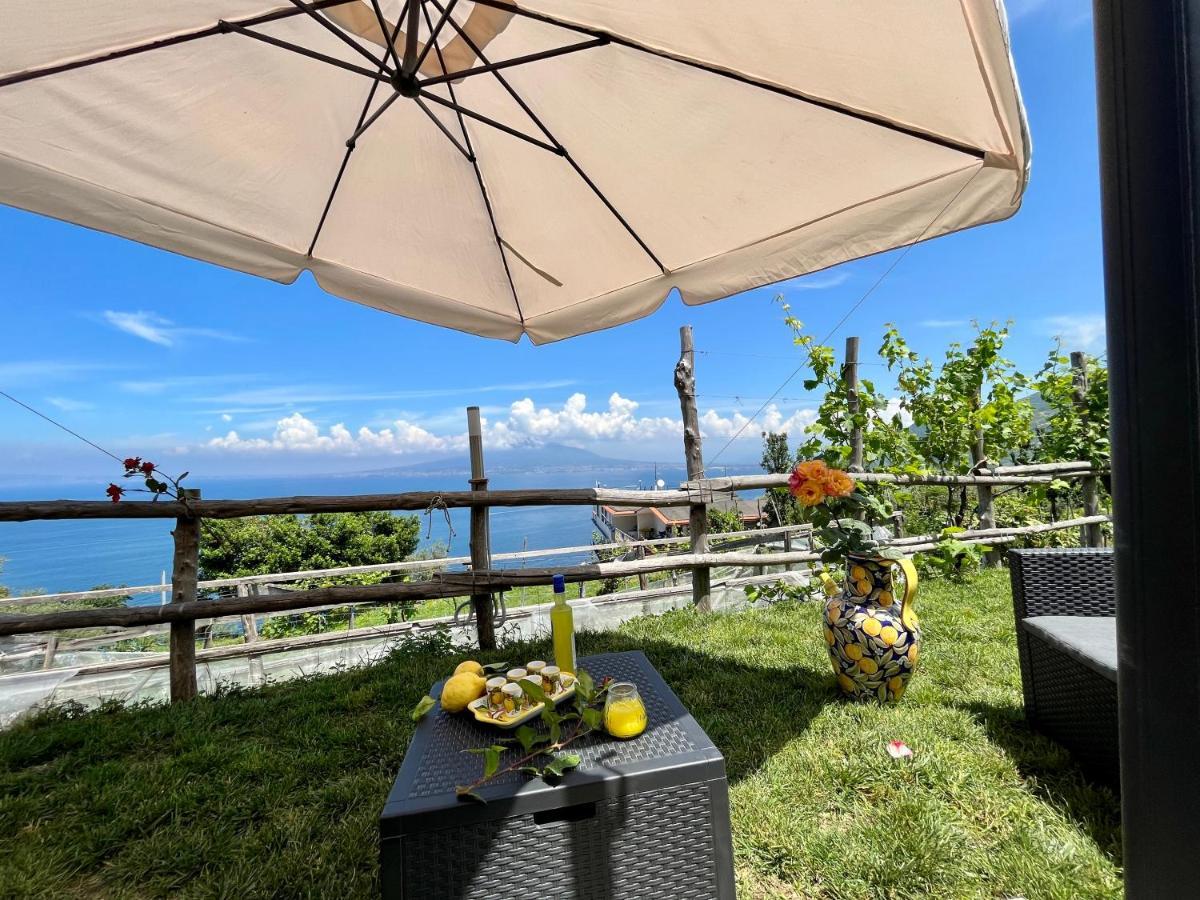 La Badia Montechiaro - Breathtaking View Of Sorrento Coast Villa Vico Equense Exteriör bild