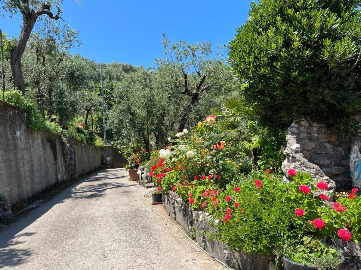 La Badia Montechiaro - Breathtaking View Of Sorrento Coast Villa Vico Equense Exteriör bild