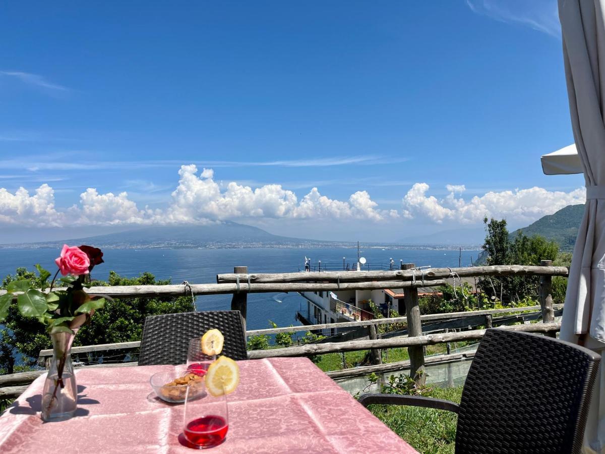 La Badia Montechiaro - Breathtaking View Of Sorrento Coast Villa Vico Equense Exteriör bild