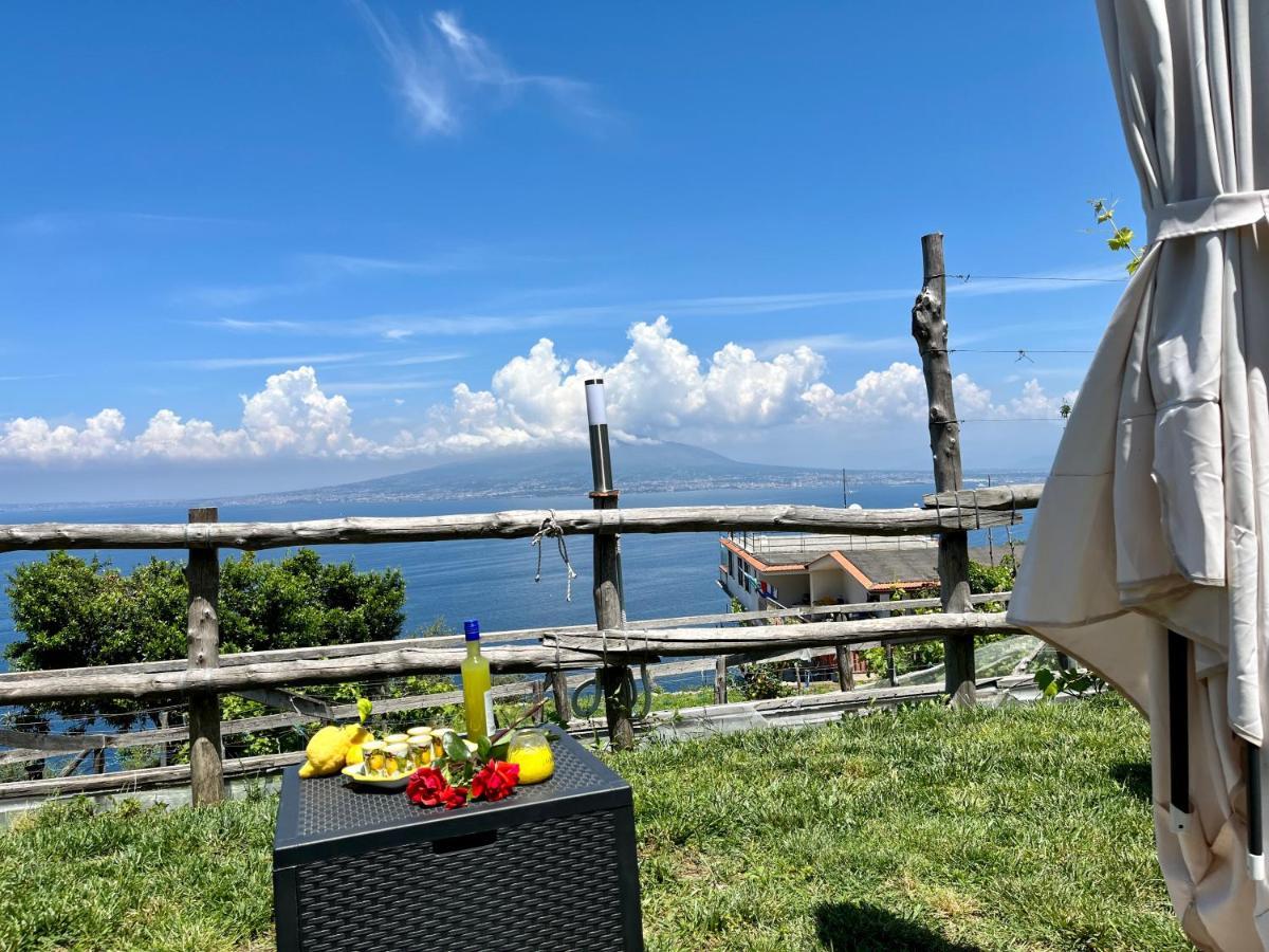 La Badia Montechiaro - Breathtaking View Of Sorrento Coast Villa Vico Equense Exteriör bild