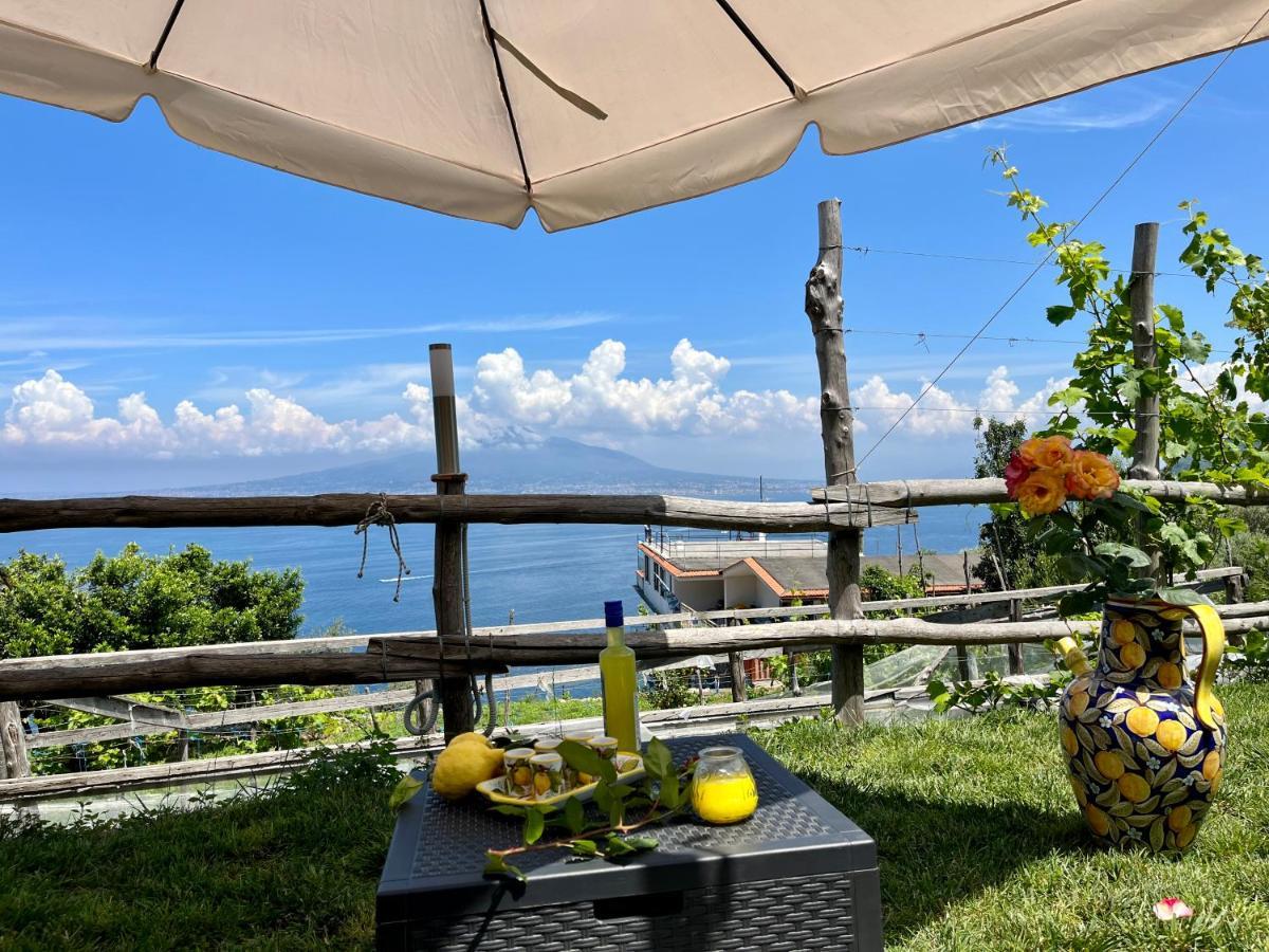 La Badia Montechiaro - Breathtaking View Of Sorrento Coast Villa Vico Equense Exteriör bild